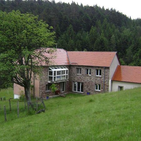 Gite Hansel De La Ferme Du Schneeberg Wangenbourg-Engenthal Экстерьер фото